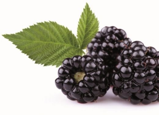 Karadut Neye İyi Gelir?